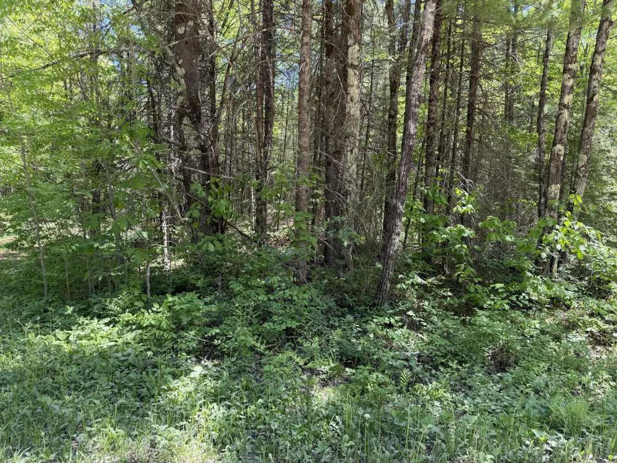Lt2 WESTBERG ROAD, Amberg, WI 54102 - #1