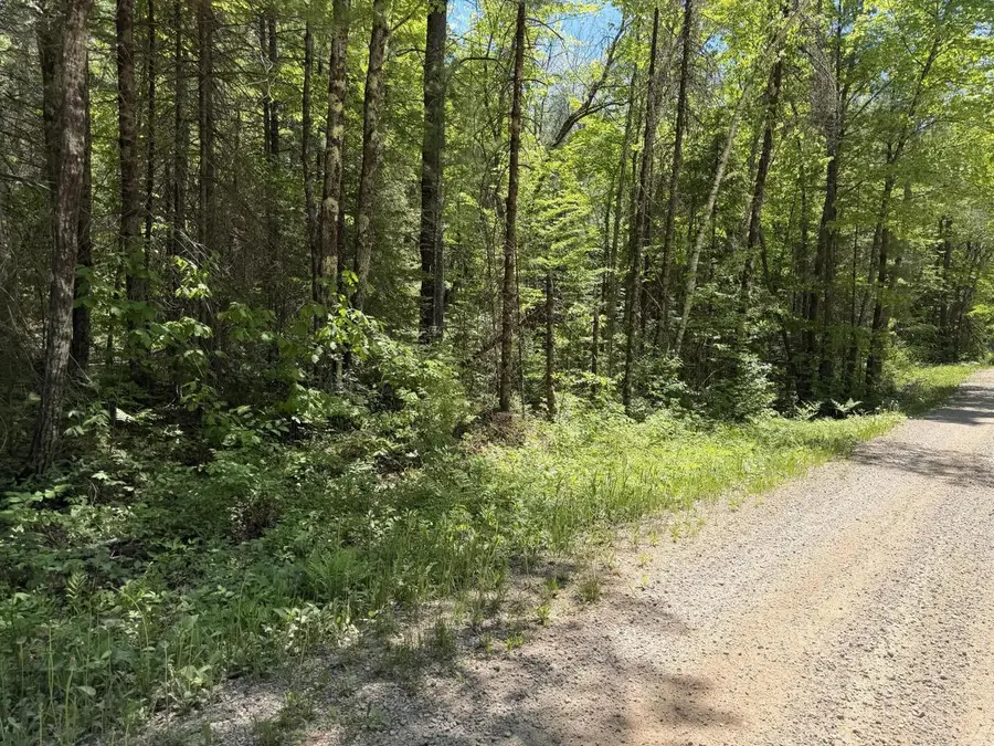 Lt2 WESTBERG ROAD, Amberg, WI 54102 - #2