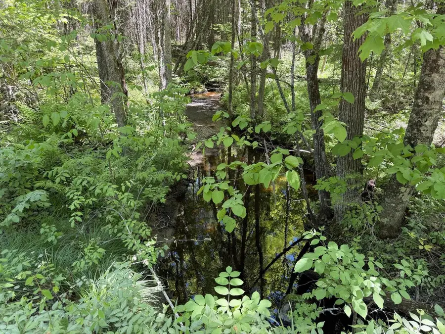 Lt2 WESTBERG ROAD, Amberg, WI 54102 - #3