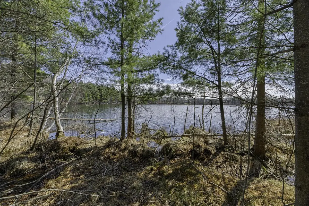 8811 VIRGIN LAKE ROAD, Tomahawk, WI 54487 - #1