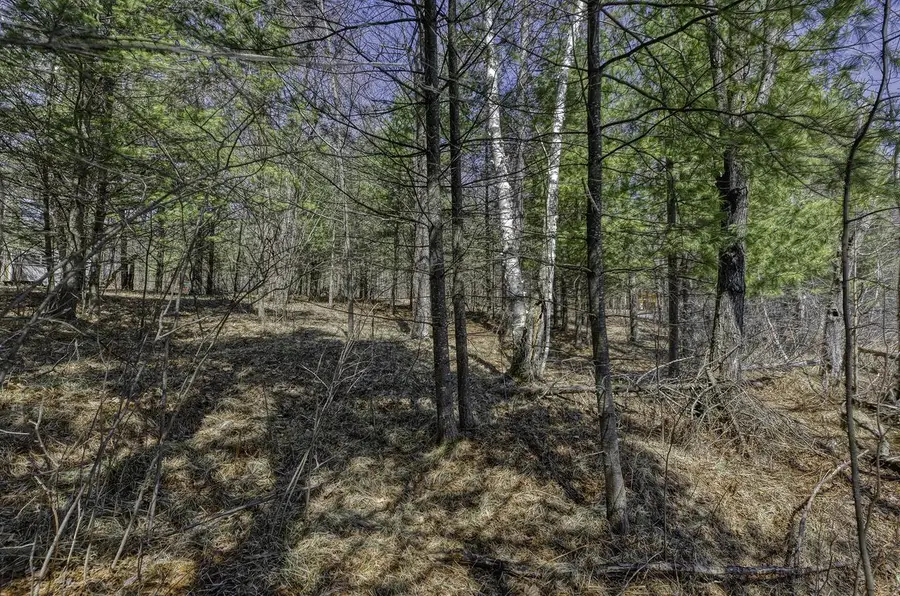 8811 VIRGIN LAKE ROAD, Tomahawk, WI 54487 - #3