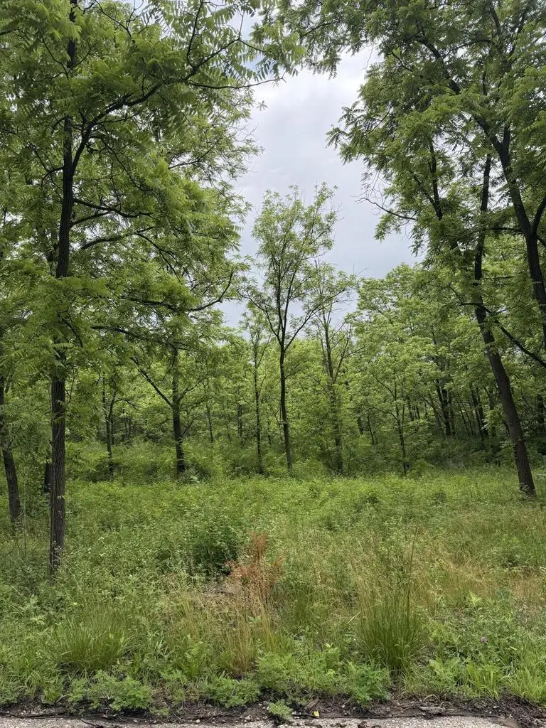 Lt1 KRUEGER ROAD, Lake Geneva, WI 53147 - #2