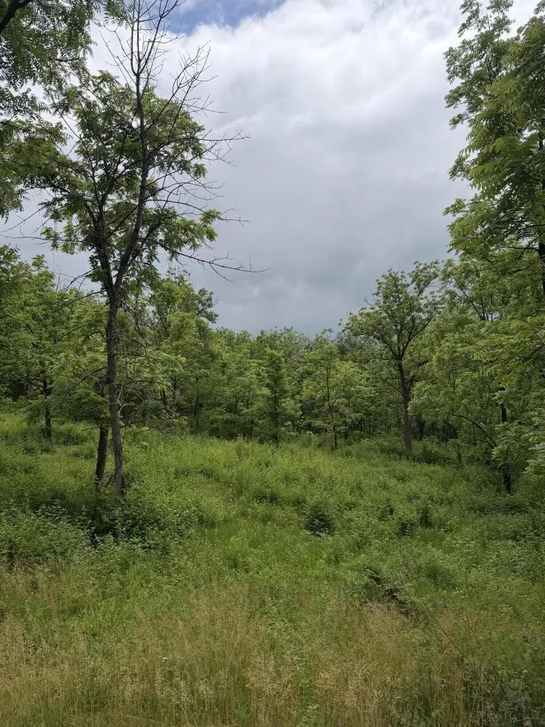 Lt1 KRUEGER ROAD, Lake Geneva, WI 53147 - #3