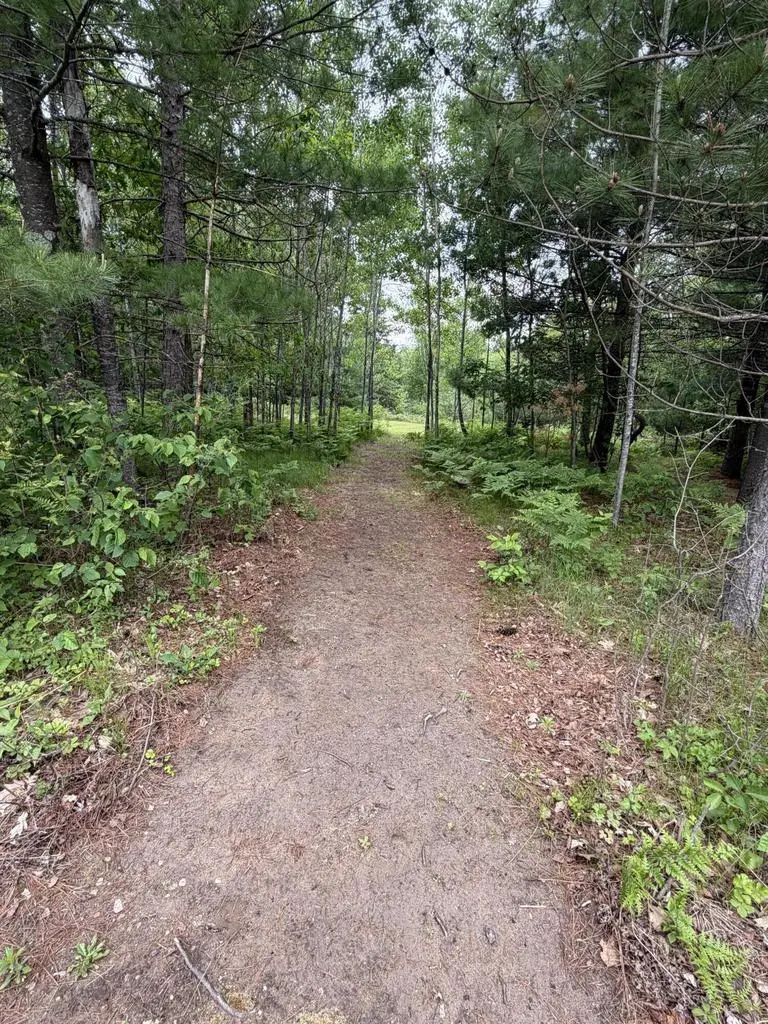 N12147 HILLSIDE ROAD, Wausaukee, WI 54177 - #2