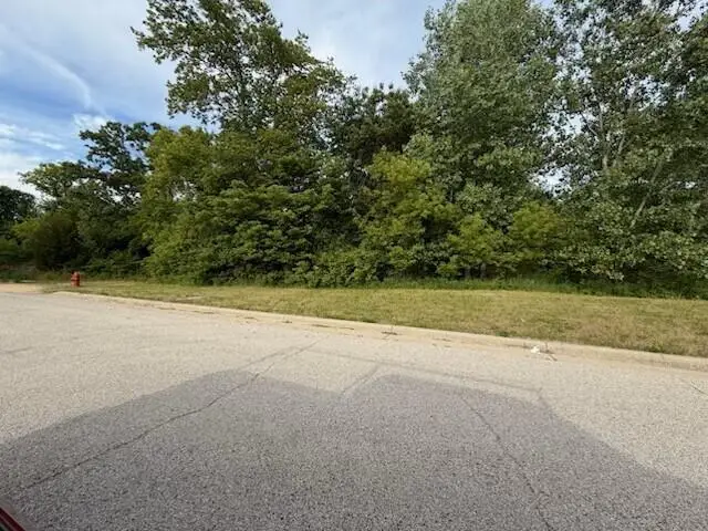 Lts9 &10 BLUEBIRD HILLS, Darien, WI 53114 - #2