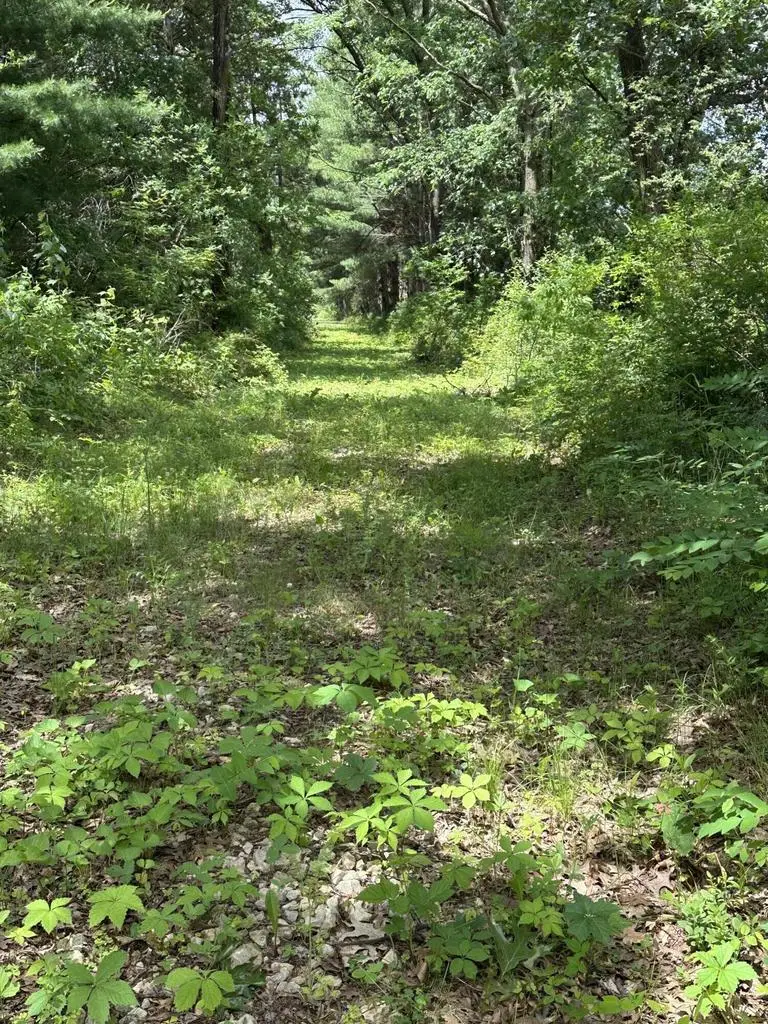 N9273 PERKINS ROAD, Mindoro, WI 54644 - #2