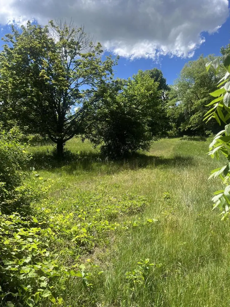 Lt2 CHERI AVENUE, Big Bend, WI 53103 - #2