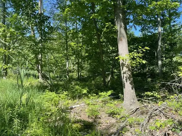 CTY SHAWANO LINE ROAD, Gillett, WI 54124