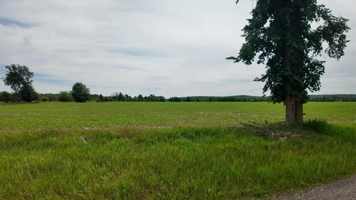 Lt1 PESHTIGO RIVER ROAD, Laona, WI 54541 - #1