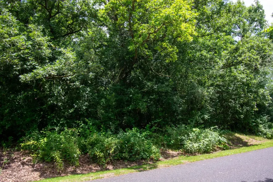 Lot 0 TAMARACK RIDGE ROAD, Elkhorn, WI 53121 - #2