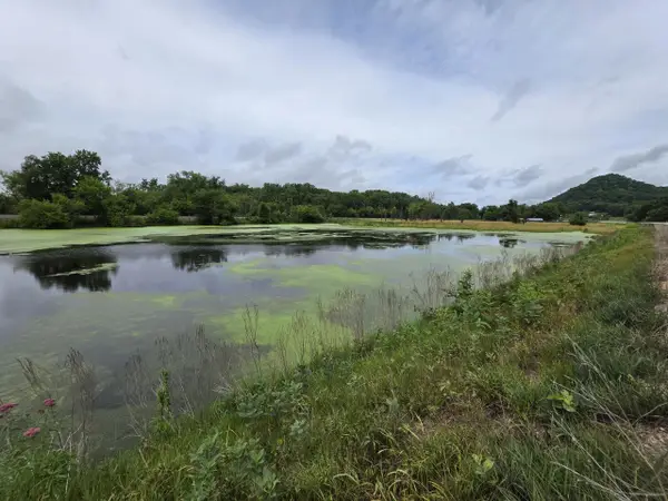 Lot 0 STATE HIGHWAY 35, Ferryville, WI 54628