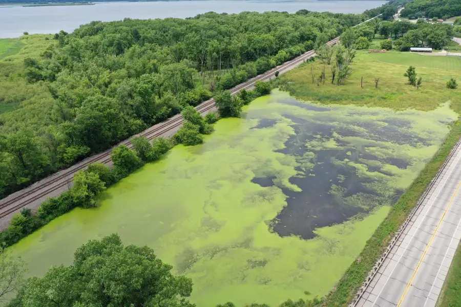 Lot 0 STATE HIGHWAY 35, Ferryville, WI 54628 - #2