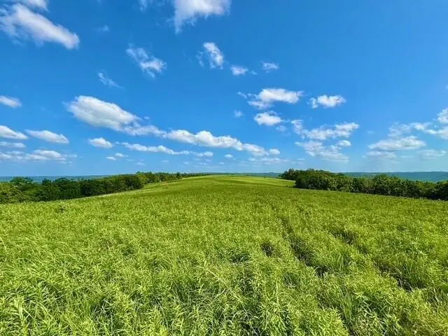 0 STATE 30 HIGHWAY, Rushford, MN 55971 - #2