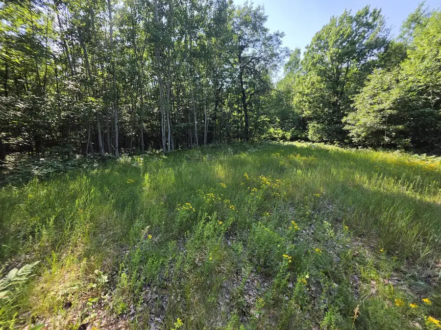 Lt0 OAK RIDGE ROAD #1.55 Acres, Amberg, WI 54102 - #2