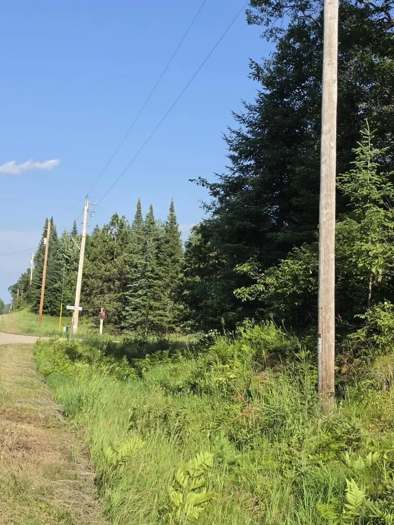 Lt1 OAK RIDGE ROAD #4.62 Acres, Amberg, WI 54102 - #2