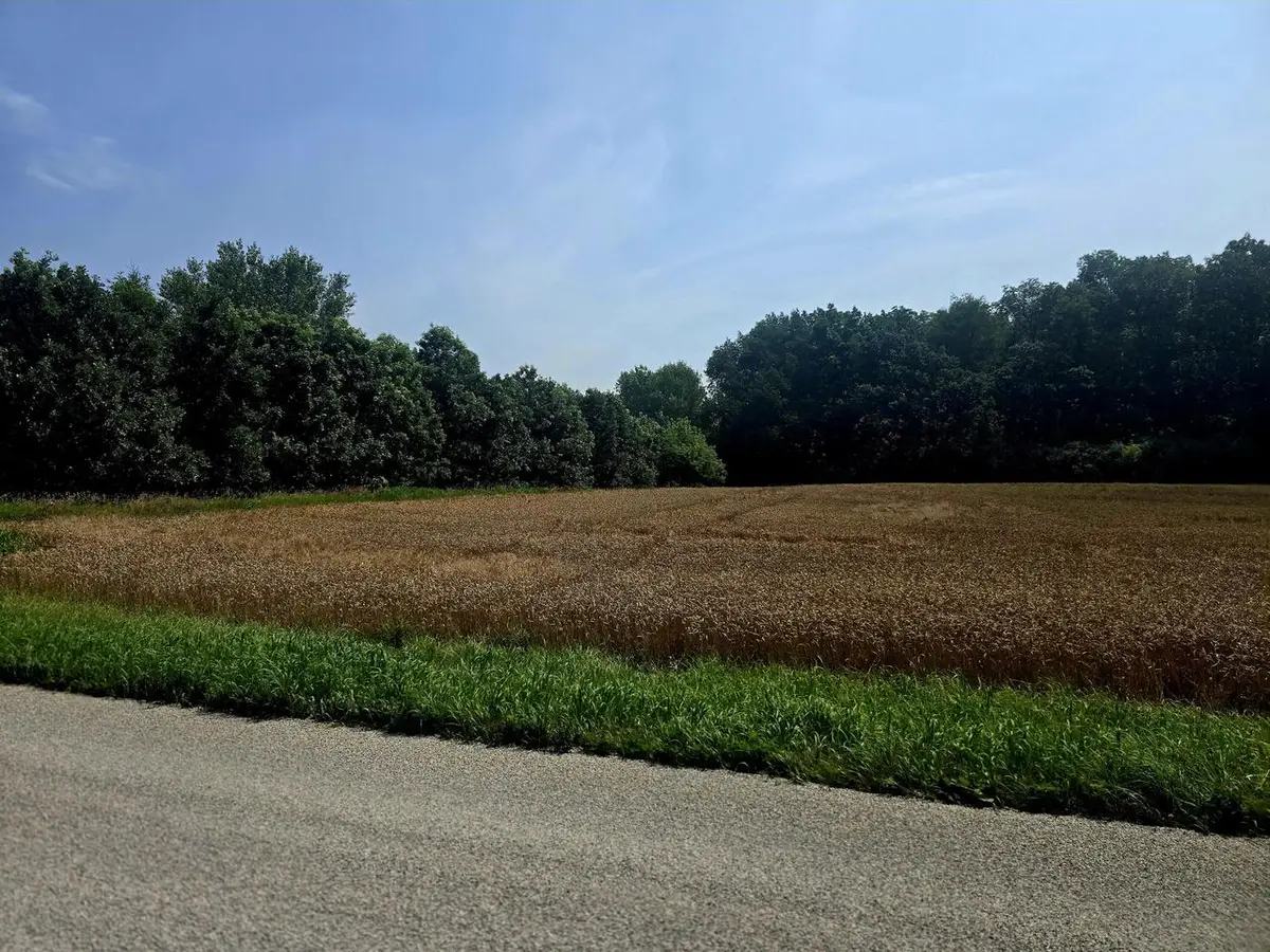 Lt1 JUNIPER ROAD, Beaver Dam, WI 53916 - #1