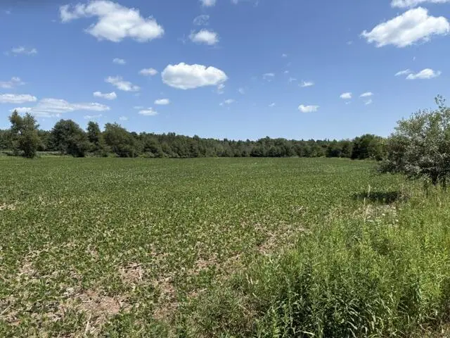 N4890 N Schwalla DRIVE, Porterfield, WI 54159 - #3