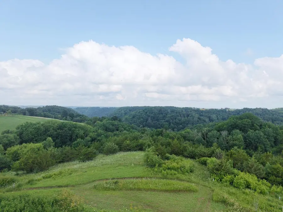 S5685 COUNTY ROAD SS ROAD, Viola, WI 54664 - #2