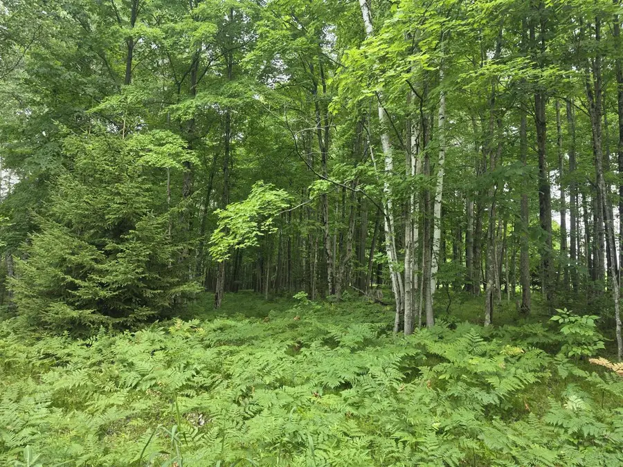 Lt0 OLD RAIL ROAD, Wausaukee, WI 54177 - #2