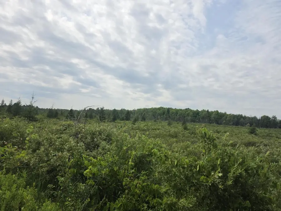 Lt1 OLD RAIL ROAD, Wausaukee, WI 54177 - #3