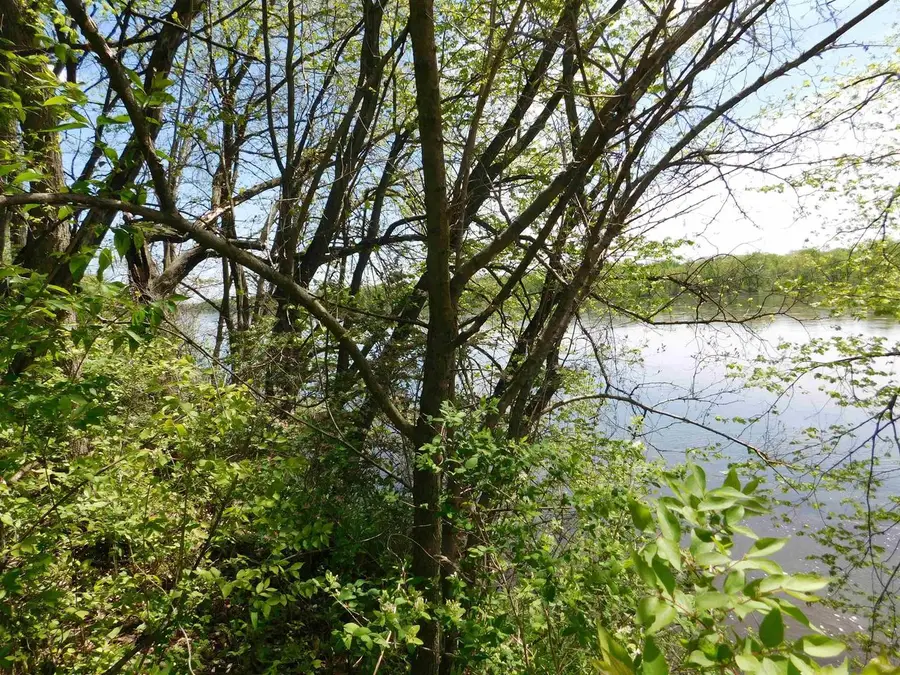 24319 Highway 60, Muscoda, WI 53573 - Image #2