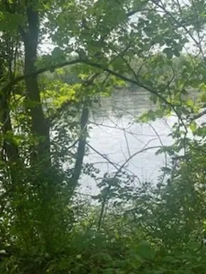 24319 Highway 60, Muscoda, WI 53573 - Image #3