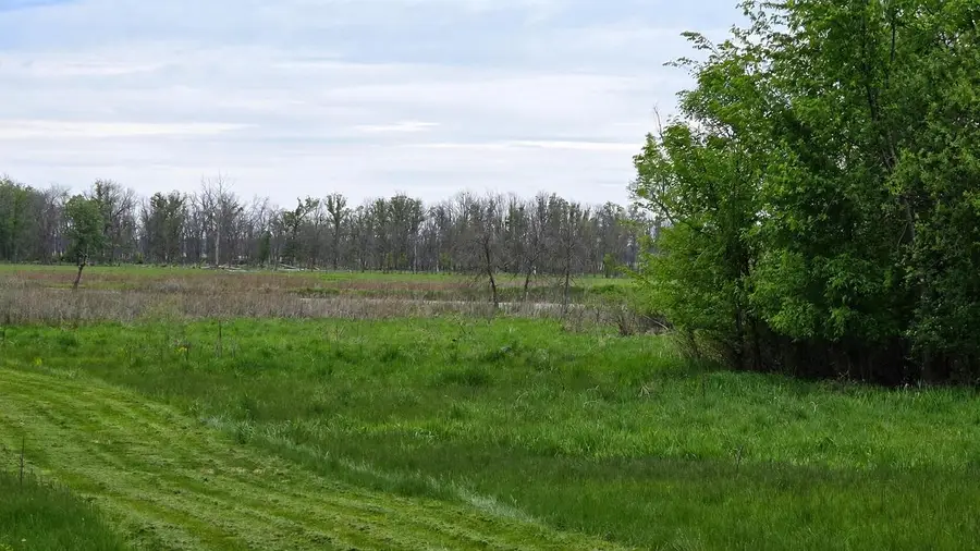 W1718 Fur DRIVE, Jackson, WI 53946 - #3