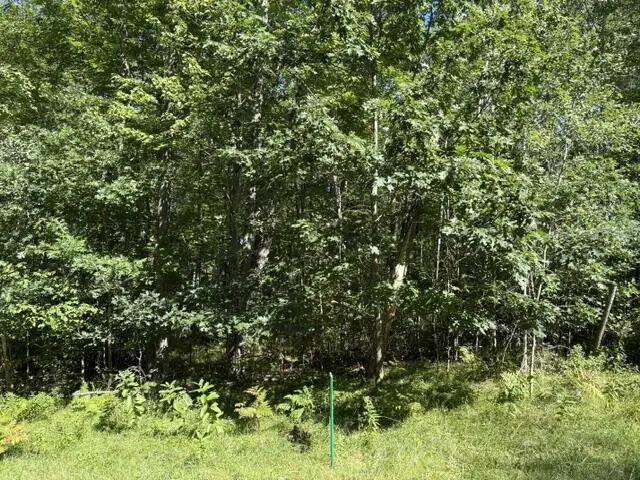 Lot 19 HYDRO COURT, Crivitz, WI 54114 - #2
