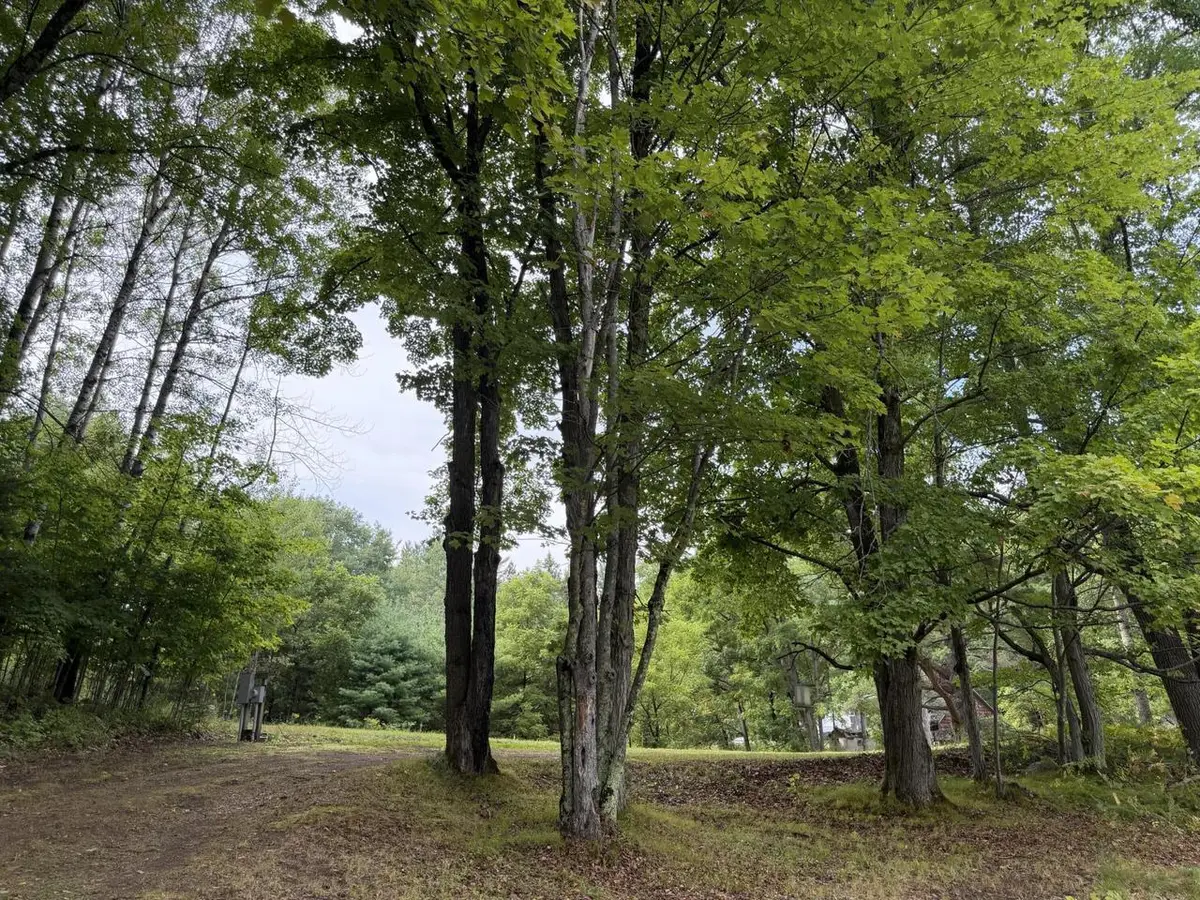 N14863 LANFEAR ROAD, Amberg, WI 54102 - #1