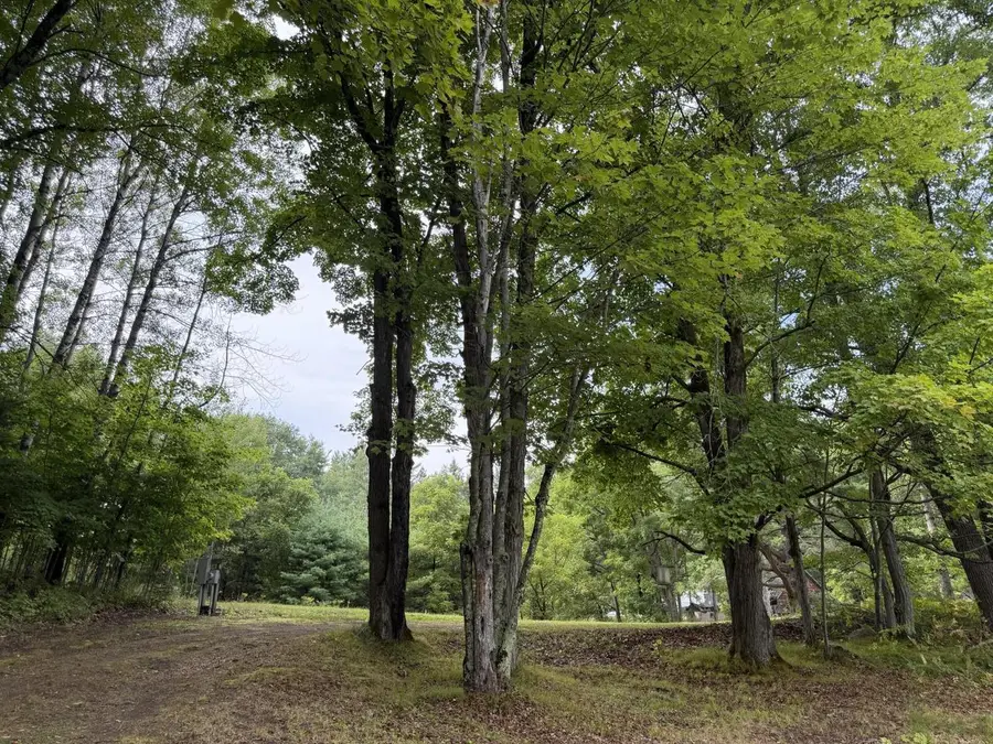 N14863 LANFEAR ROAD, Amberg, WI 54102 - #3