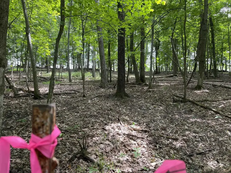 Lt 148 Pine Cone Lane, La Valle, WI 53941 - Image #3