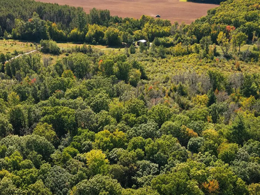 2026 6th AVENUE, Grand Marsh, WI 53936 - #3