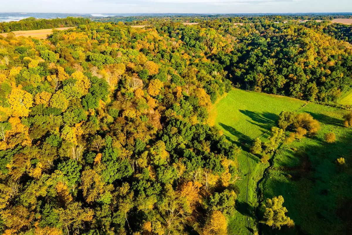 Lt0 COUNTY HIGHWAY NN, Richland Center, WI 53581 - #1