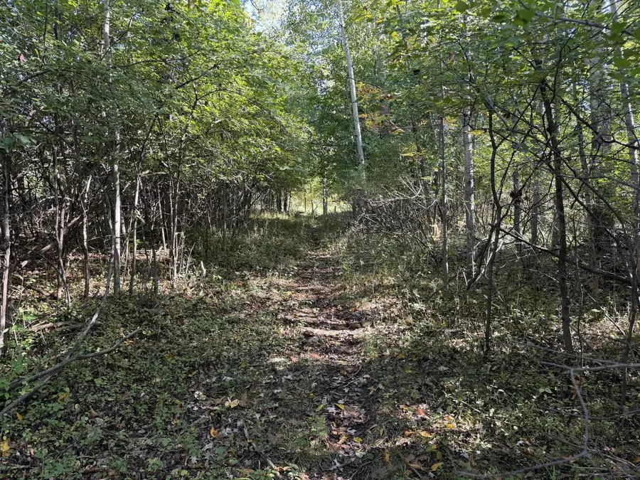 Lt0 PAULINA PLACE, Elkhart Lake, WI 53020 - #3
