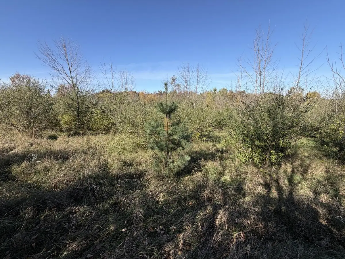 Lot 31 WOODLAND LANE, Viola, WI 54664 - #1