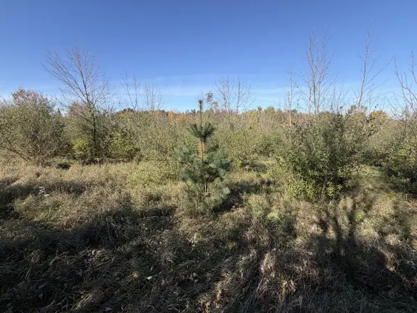 Lot 31 WOODLAND LANE, Viola, WI 54664
