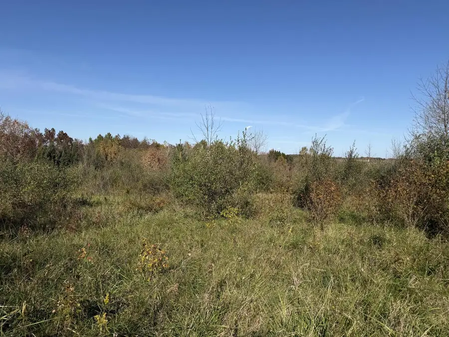 Lot 31 WOODLAND LANE, Viola, WI 54664 - #2