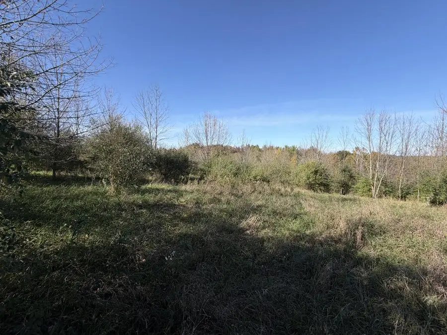 Lot 31 WOODLAND LANE, Viola, WI 54664 - #3