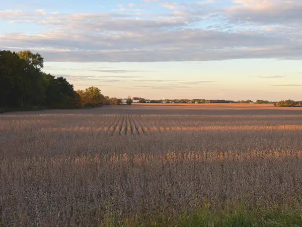 Lot 1 BRAY ROAD, Elkhorn, WI 53121