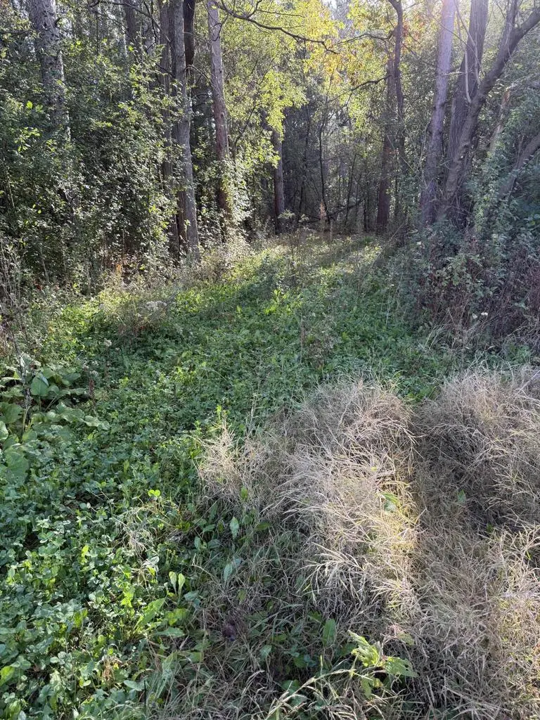Lot 2 COUNTY HIGHWAY I, Sparta, WI 54656 - #3