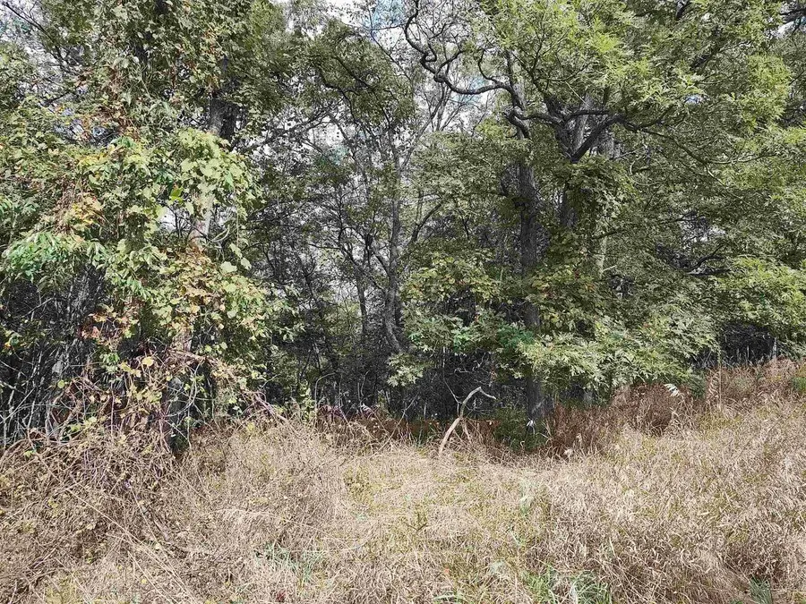 #3