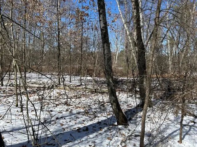 W5794 Waterstone Lane, New Lisbon, WI 53950 - Image #3