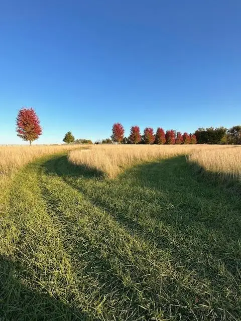 #3