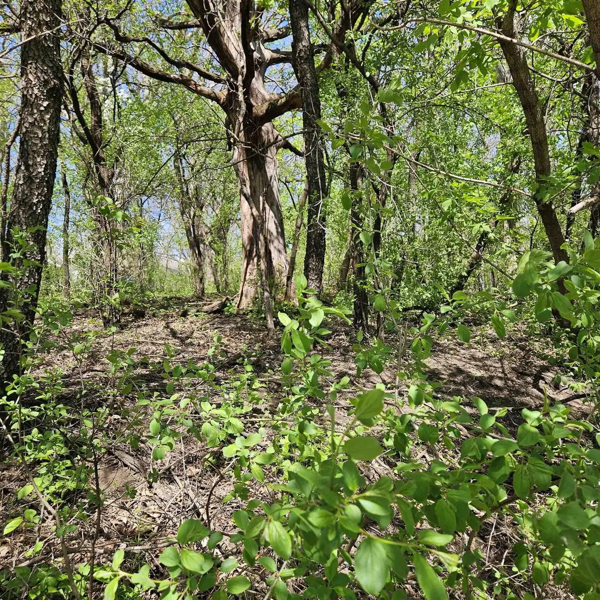 2930 W Memorial Drive, Janesville, WI 53548 - Image #1