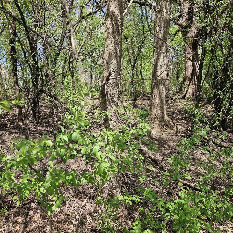 2930 W Memorial Drive, Janesville, WI 53548 - Image #2