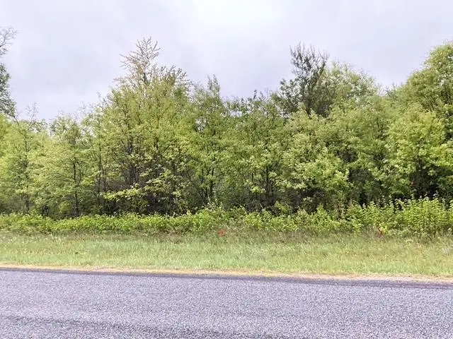 Lot 45 10th Street, Necedah, WI 54646 - Image #2