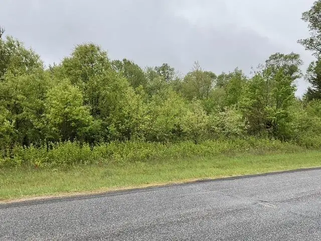 Lot 45 10th Street, Necedah, WI 54646 - Image #3