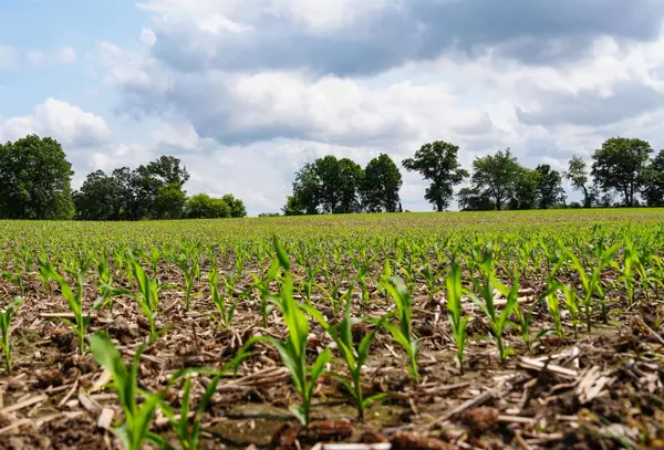 W11851 Highway 16/60, Columbus, WI 53925