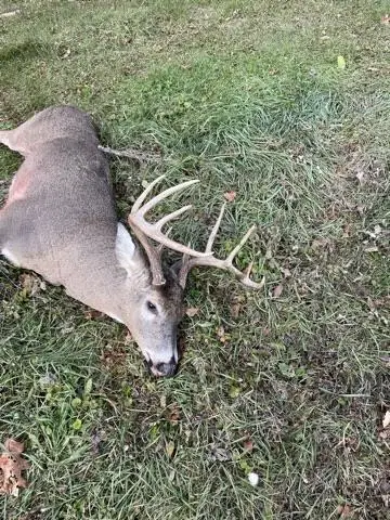 #3