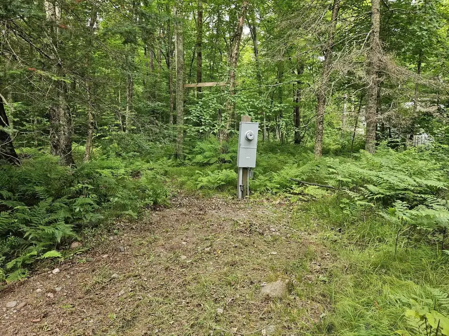 #3